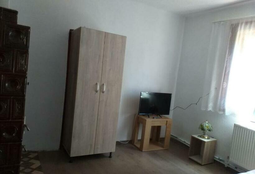 スタンダードトリプルルーム, Pensiunea Floare De Colt