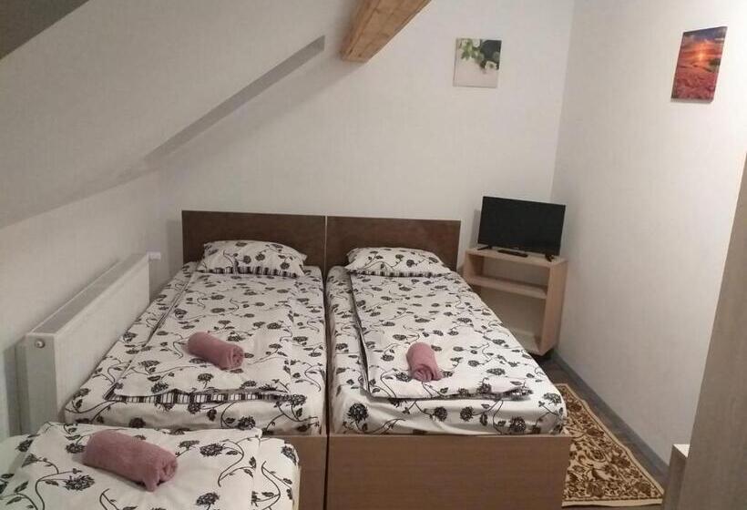 ビラホテル１ベッドルーム, Pensiunea Floare De Colt