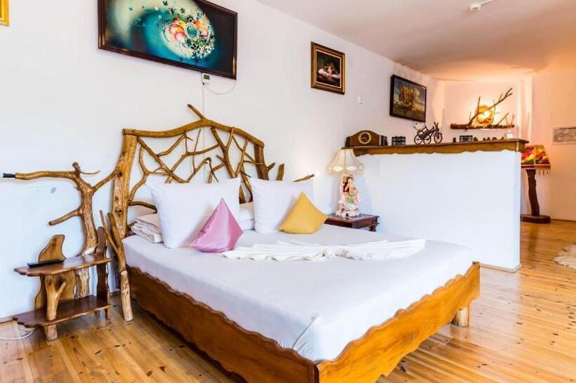 חדר סופריור, Castelul De Vis