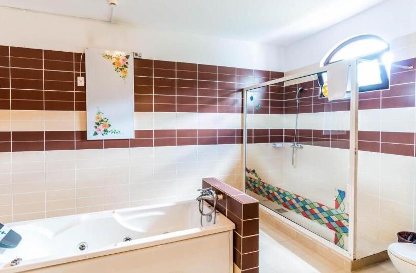 Номер Deluxe, Castelul De Vis