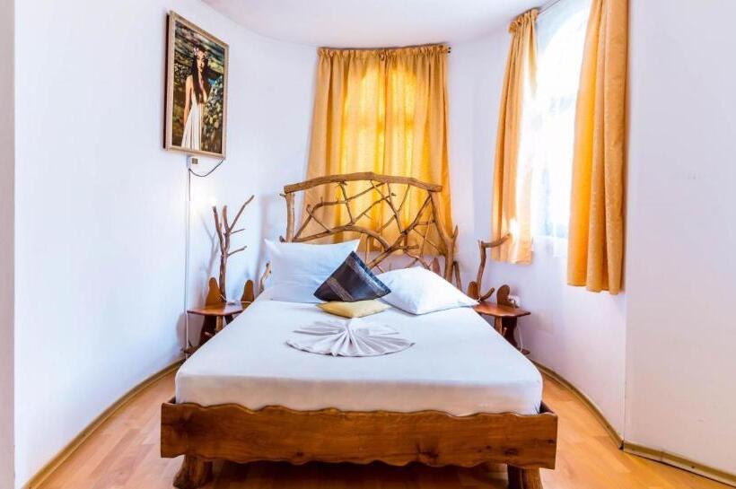 غرفة قياسية, Castelul De Vis