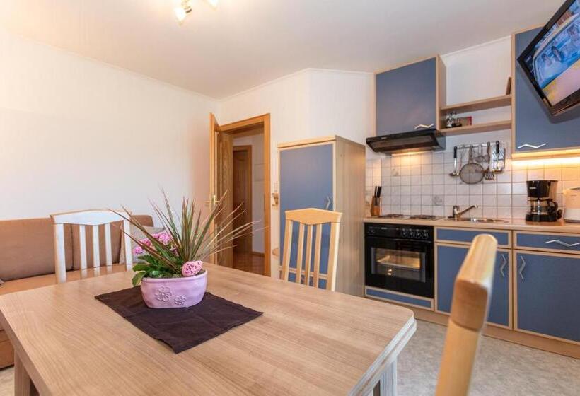 آپارتمان 1 خوابه با چشمانداز, Mussbachhof