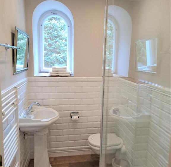 חדר סטנדרט עם מיטת קינג, Lesní Hotel Peršlák