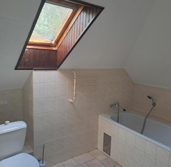 带大床的标准工作室, Lesní Hotel Peršlák