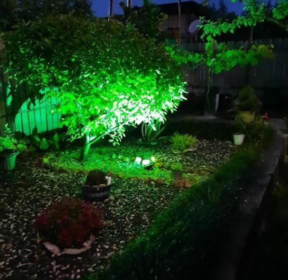 اتاق اکونومی, Sisi Guest House