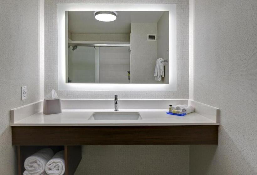 스위트 킹사이즈 침대, Holiday Inn Express Hotel & Suites Anderson I 85   Hwy 76, Exit 19b, An Ihg