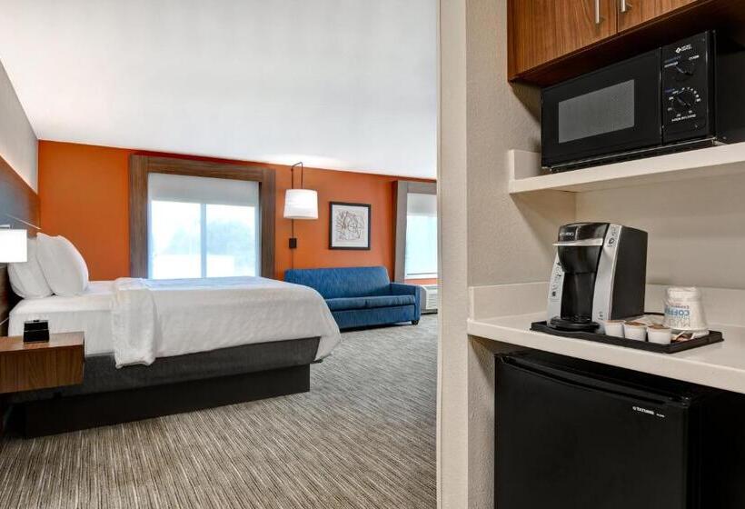 带大床的套房, Holiday Inn Express Hotel & Suites Anderson I 85   Hwy 76, Exit 19b, An Ihg