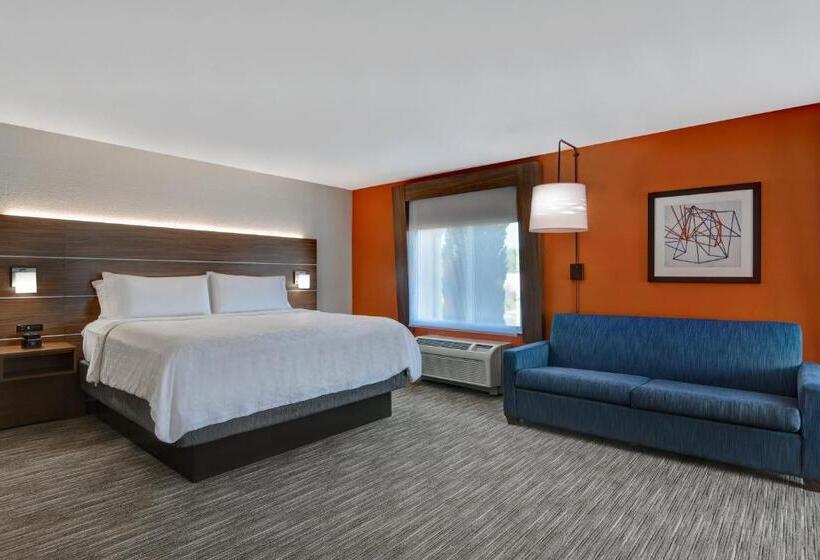 스위트 킹사이즈 침대, Holiday Inn Express Hotel & Suites Anderson I 85   Hwy 76, Exit 19b, An Ihg