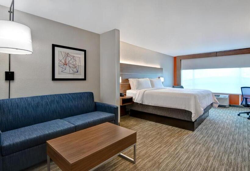 带大床的套房, Holiday Inn Express Hotel & Suites Anderson I 85   Hwy 76, Exit 19b, An Ihg