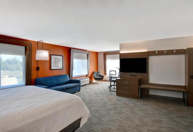 带大床的套房, Holiday Inn Express Hotel & Suites Anderson I 85   Hwy 76, Exit 19b, An Ihg