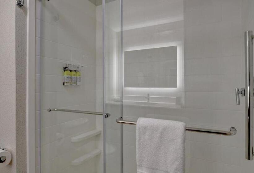 带大床的标准间, Holiday Inn Express Hotel & Suites Anderson I 85   Hwy 76, Exit 19b, An Ihg