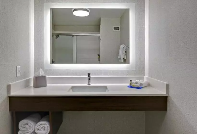 キングサイズベッドのスタンダードルーム, Holiday Inn Express Hotel & Suites Anderson I 85 Hwy 76, Exit 19b, An Ihg