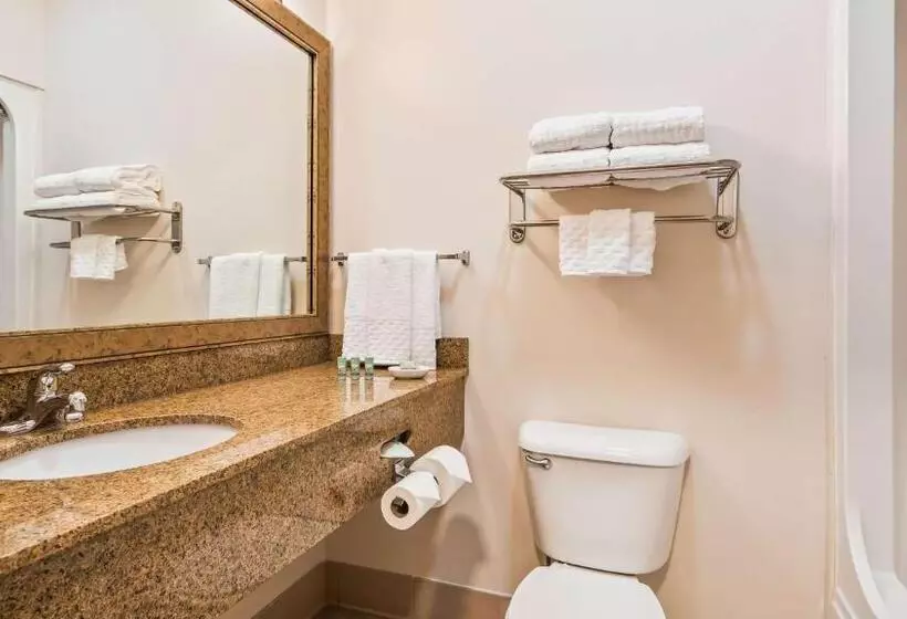 スタンダードルーム, Best Western Brookfield