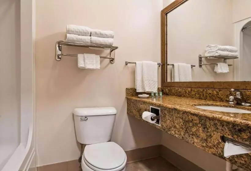 スタンダードルーム, Best Western Brookfield