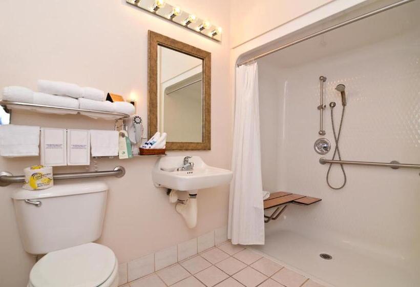 身障者適用キングサイズベッドルーム, Best Western Brookfield