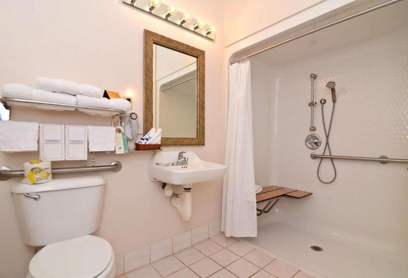 장애인을 위한 킹사이즈 침대 스탠다드 룸, Best Western Brookfield