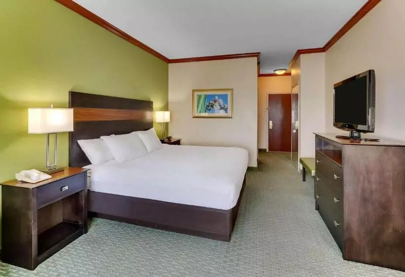 Standard-invahuone King-vuode, Comfort Inn & Suites