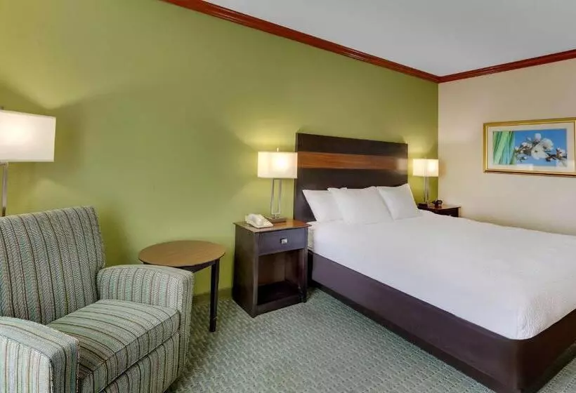 Standard-invahuone King-vuode, Comfort Inn & Suites