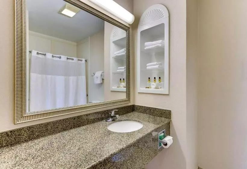 Standard-huone King-vuode, Comfort Inn & Suites