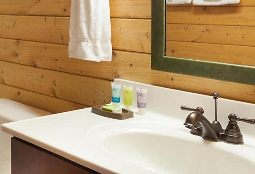 Номер Стандарт Адаптированный для Инвалидов, Bluegreen Vacations Shenandoah Crossing, Ascend Resort Collection
