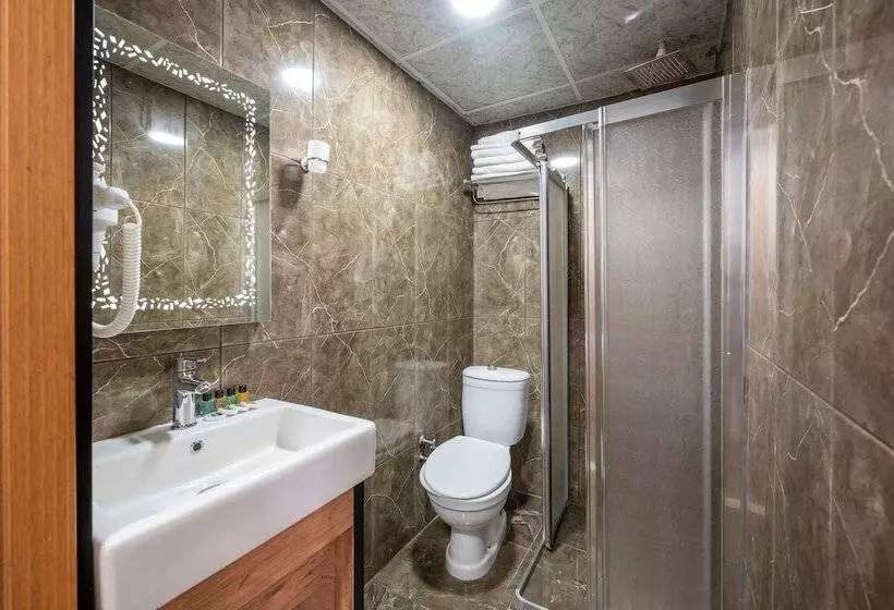 اتاق لوکس سه تخته, Boutique Dedem