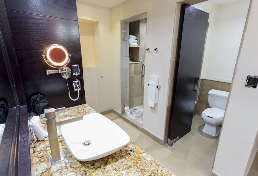 Стандартный Номер Кровать Кинг, Hilton Queretaro