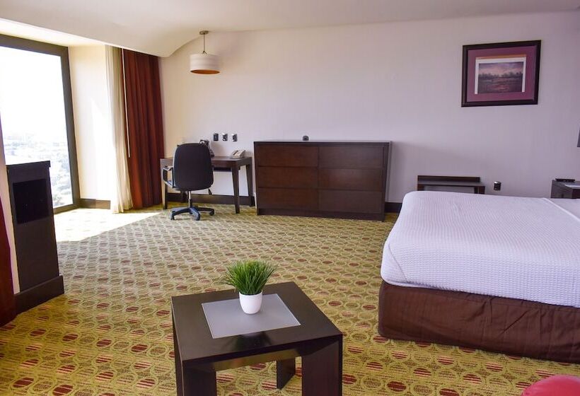 اتاق استاندارد با تخت بزرگ, Hilton Queretaro