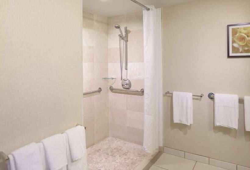 Номер Deluxe с Видом, Hilton Branson Convention Center