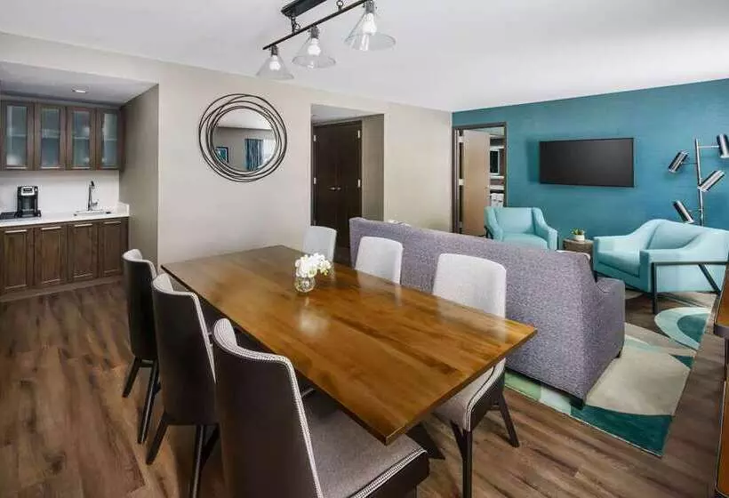 اتاق استاندارد با تخت بزرگ, Hilton Branson Convention Center
