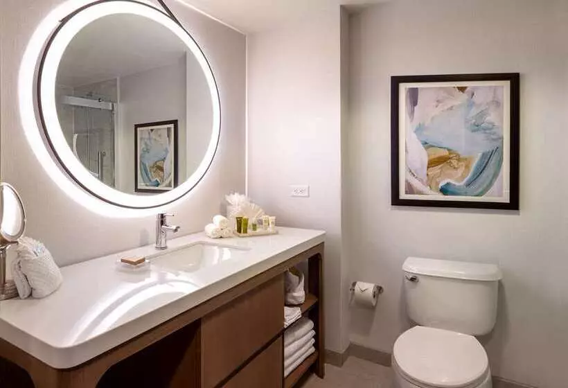 اتاق استاندارد با تخت بزرگ, Hilton Branson Convention Center