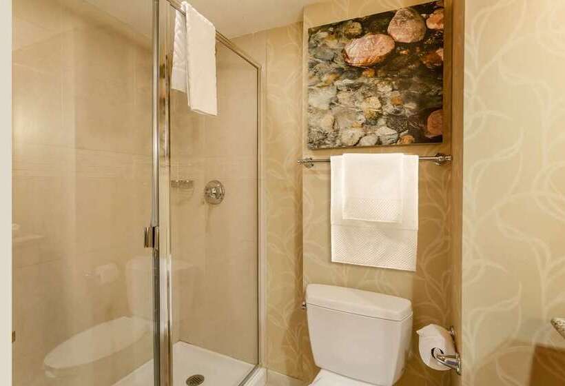 Стандартный Номер Кровать Кинг, Hilton Branson Convention Center