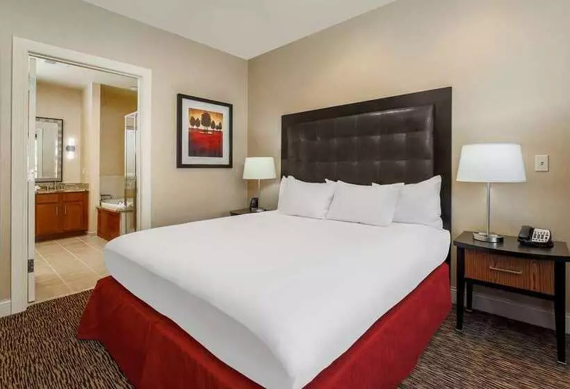 آپارتمان 1 خوابه, Hilton Branson Convention Center