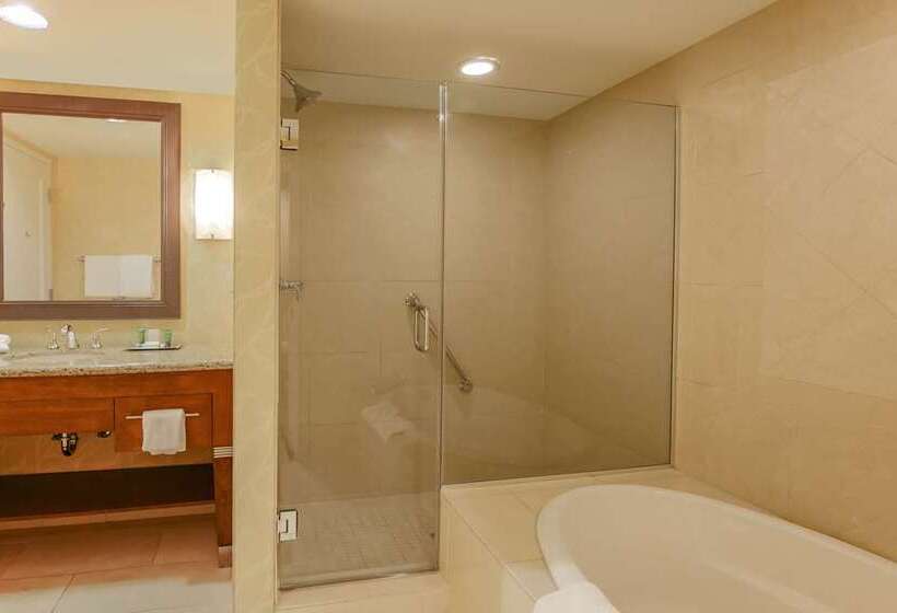 Апартаменты 1 Спальня, Hilton Branson Convention Center