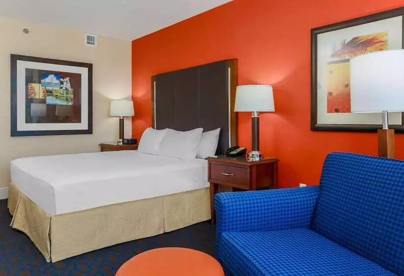 اتاق لوکس با چشمانداز, Hilton Branson Convention Center