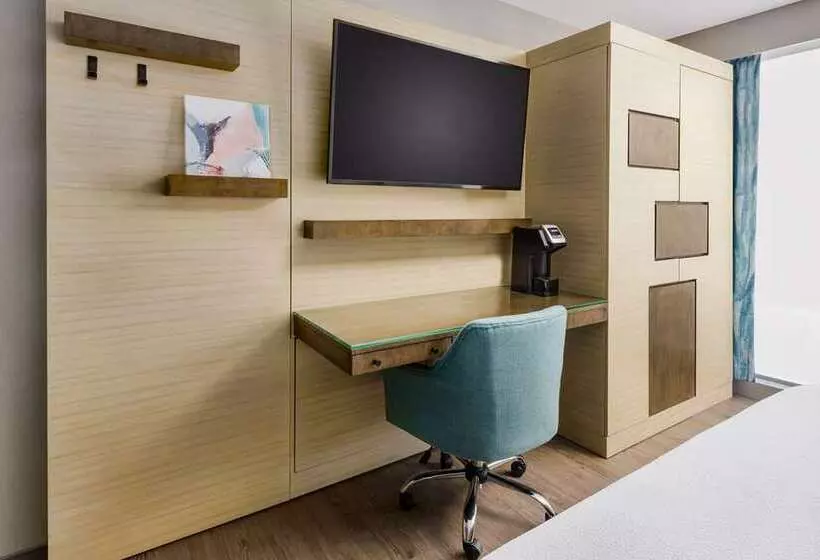 اتاق استاندارد با تخت بزرگ, Hilton Branson Convention Center