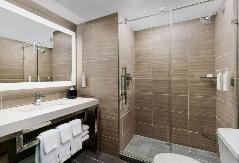 اتاق استاندارد با تخت بزرگ, Hilton Branson Convention Center