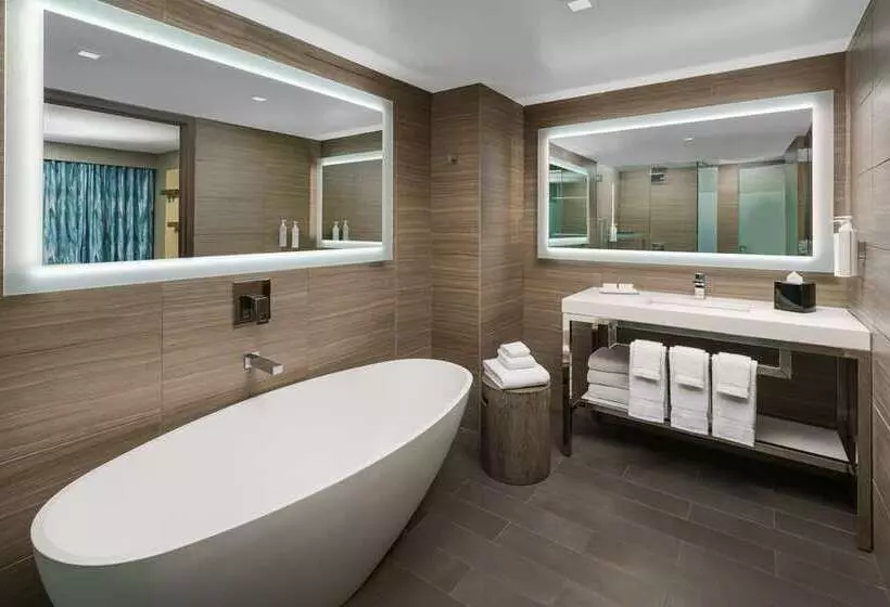 اتاق استاندارد با تخت بزرگ, Hilton Branson Convention Center