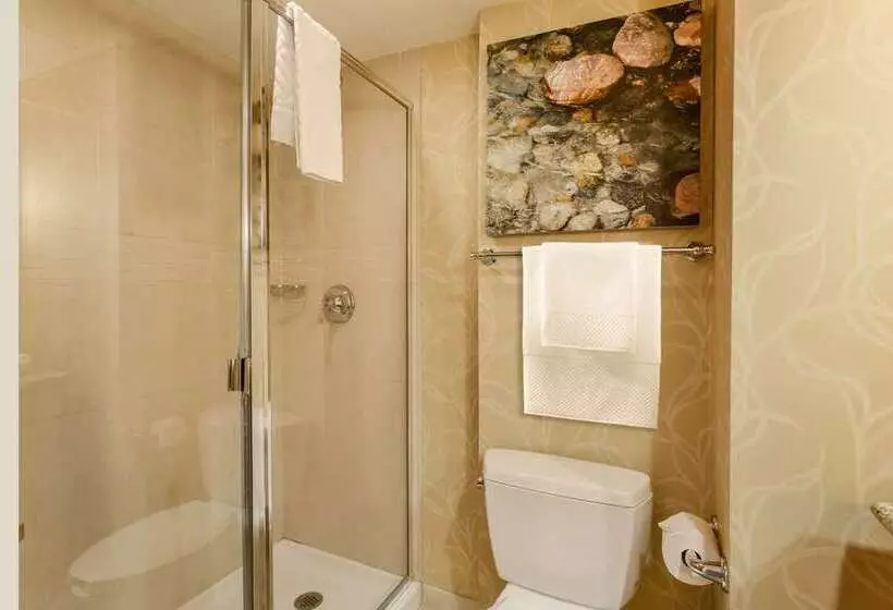 景色の見えるデラックスルーム, Hilton Branson Convention Center