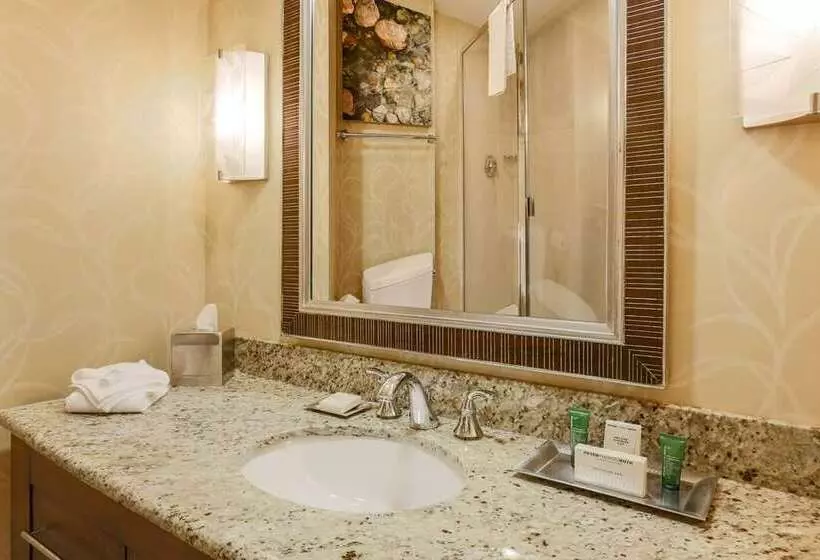 景色の見えるデラックスルーム, Hilton Branson Convention Center