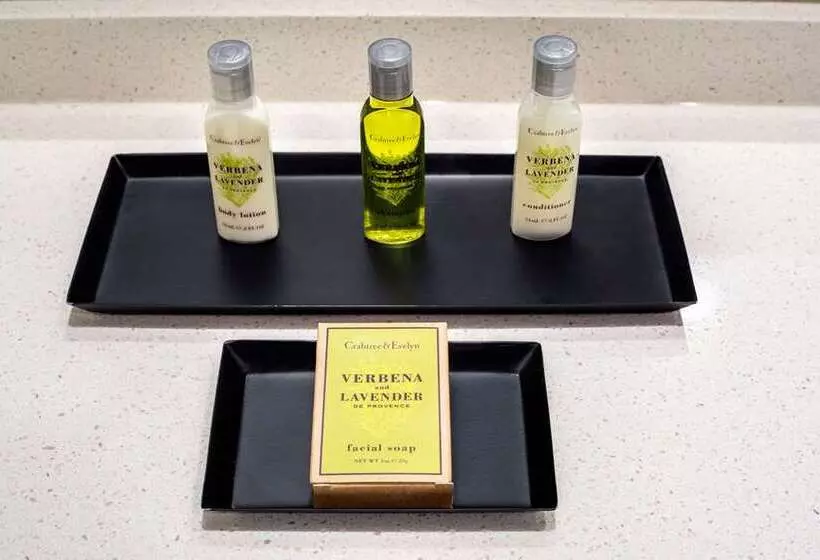 デラックスルーム, Hilton Branson Convention Center
