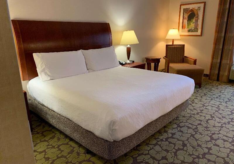 غرفة قياسية سرير كينج, Hilton Garden Inn Colorado Springs Airport