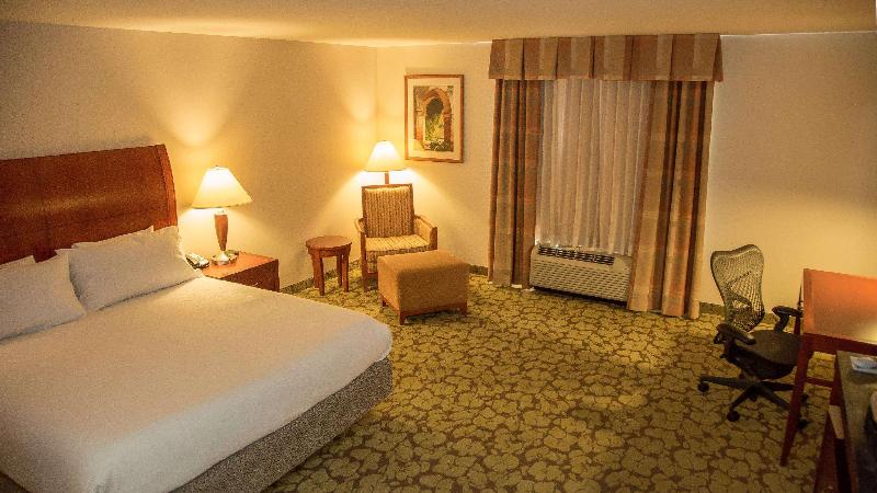 キングサイズベッドのスタンダードルーム, Hilton Garden Inn Colorado Springs Airport