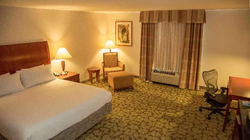 キングサイズベッドのスタンダードルーム, Hilton Garden Inn Colorado Springs Airport