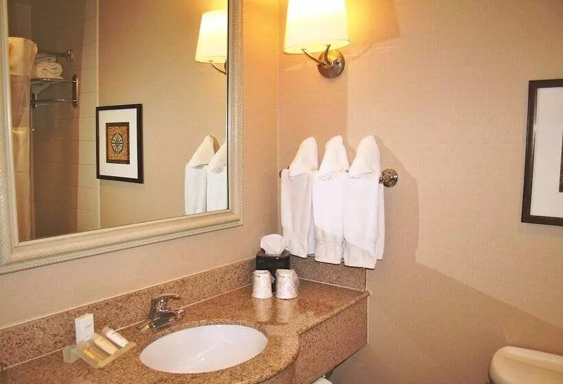 Standard-huone, Hilton Garden Inn El Paso / University