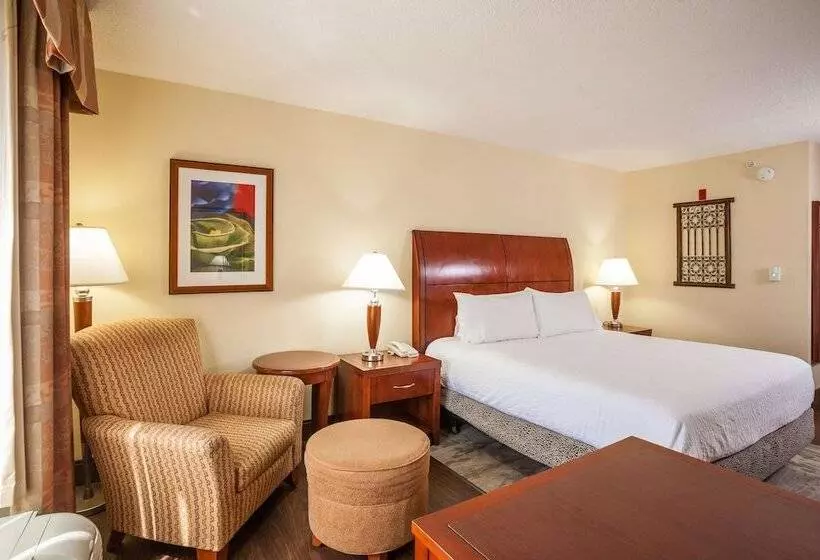 Standard-huone, Hilton Garden Inn El Paso / University