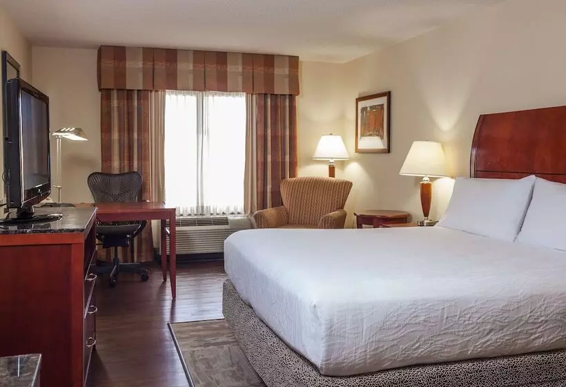 Standard-huone, Hilton Garden Inn El Paso / University