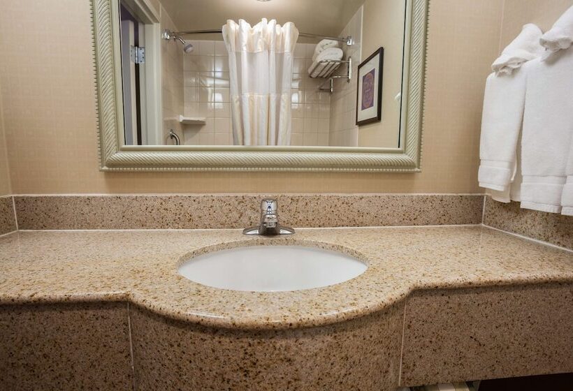 スタンダードルーム, Hilton Garden Inn El Paso / University