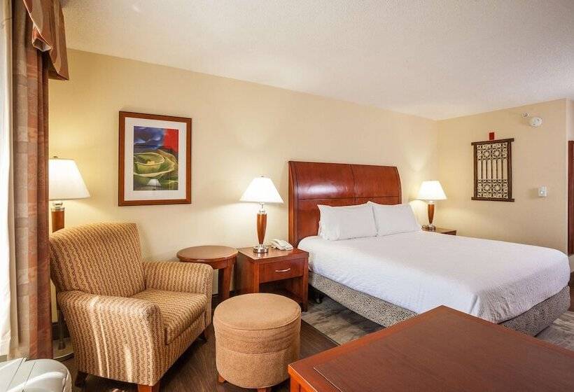 스위트, Hilton Garden Inn El Paso / University