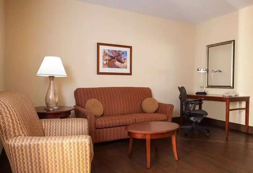 Sviitti, Hilton Garden Inn El Paso / University