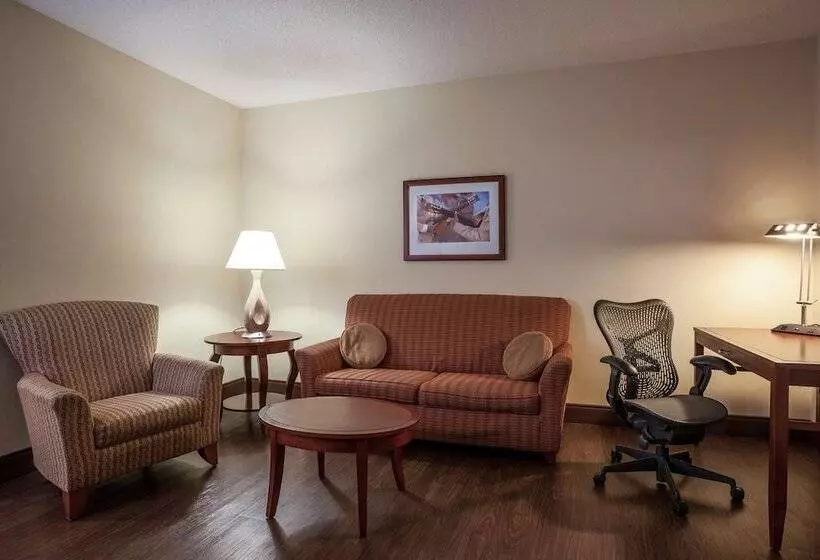 Sviitti, Hilton Garden Inn El Paso / University